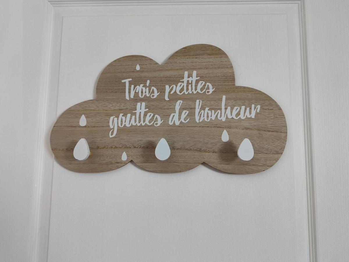 Gite Les Piraudieres 努瓦扬德图尔涅 外观 照片